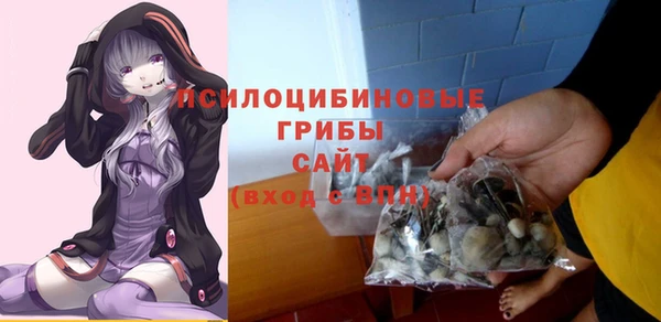 ALPHA PVP Инсар