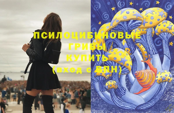 ALPHA PVP Инсар