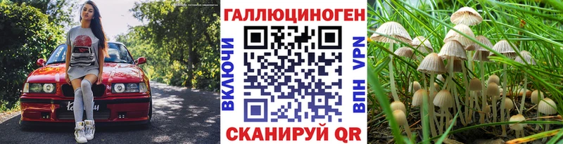 Купить где  Усть-Катав  Псилоцибиновые грибы Psilocybe 